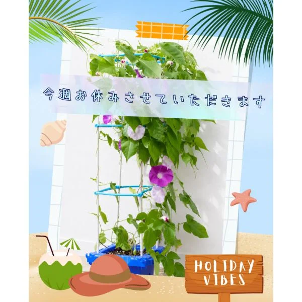 お休みさせていただきます