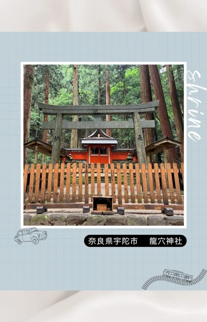 恵の雨