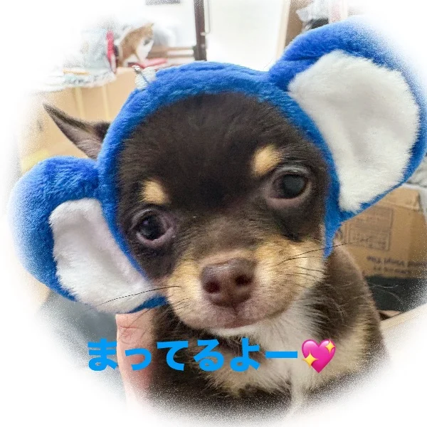 本日9時から出勤します！