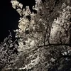 新生活のスタートに、新しいチャレンジしてみませんか？🌸✨のサムネイル