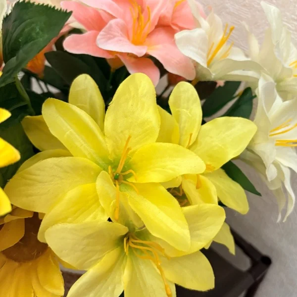 昨日今日と...（╹◡╹）♡