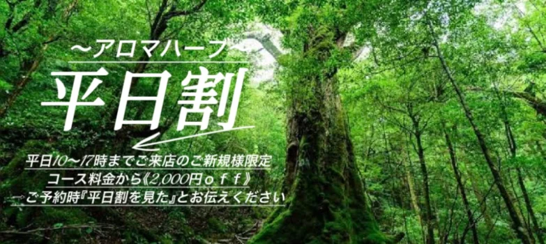 アロマハーブ