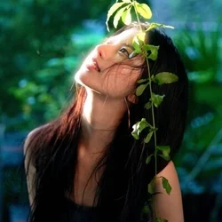 茉莉花（ジャスミン）