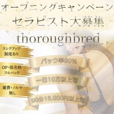thoroughbred(サラブレッド)のメリットイメージ(2)
