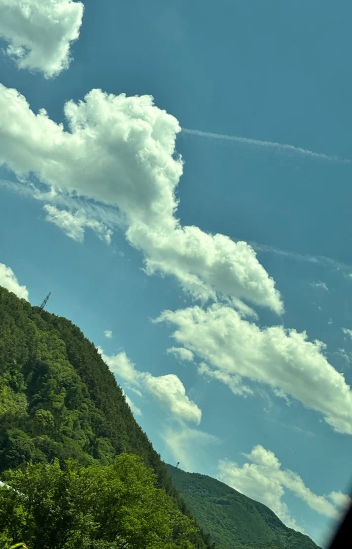 初めまして！