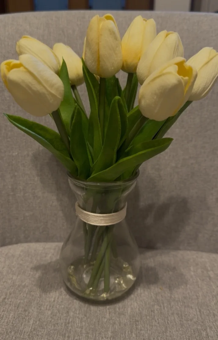 🌷💛🤍🌷