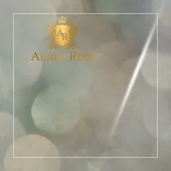 お店のコースその3