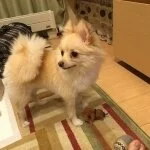 採用担当のイメージです 採用担当のイメージです