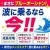 🍸キャバクラ・クラブの3倍稼げる‼️ブルーオーシャンはここのサムネイル