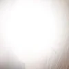 せな