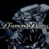 スターセラピスト集団Diamond Flowerのサムネイル
