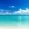 🌻【店長ブログ・求人】8月18日（日）夏の終盤も稼ぎ時🌴のサムネイル