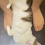 採用担当の成宮さん