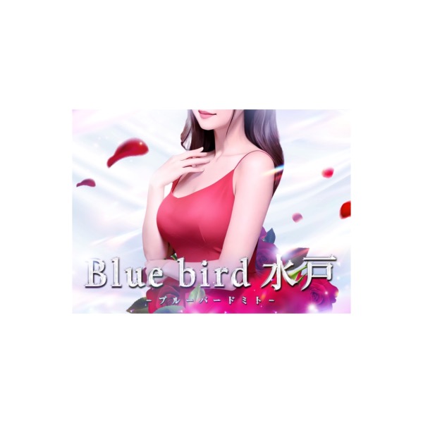 Blue bird水戸