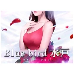 Blue bird水戸