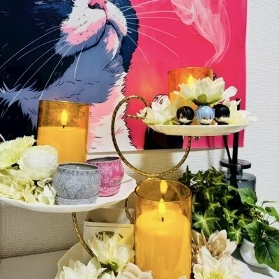 【🌱3/15(日)12:00～閉店25:00🌱】