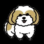 採用担当のサクライさん