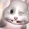 らん9/10体入