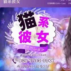 猫系彼女