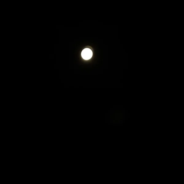 さっき外に出た時に。