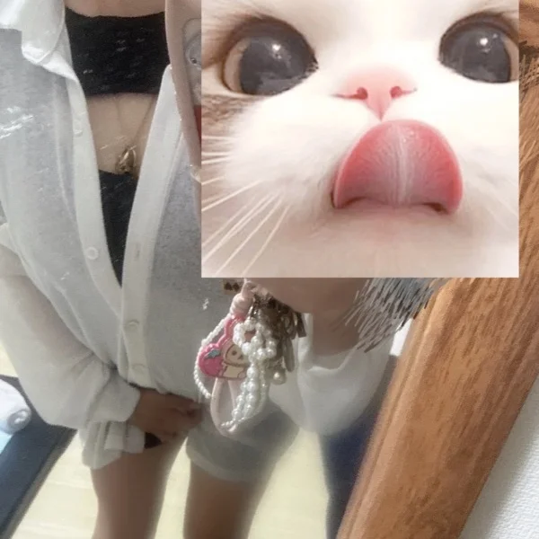20:00~2:00まで☺️