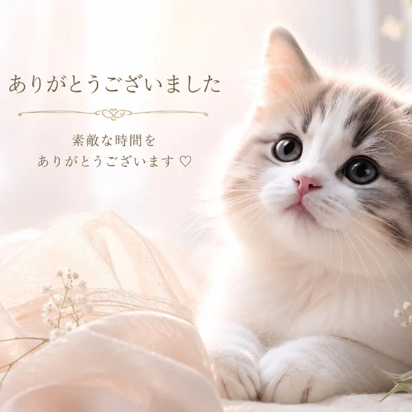 K様♡