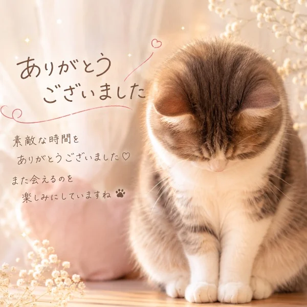 T様♡