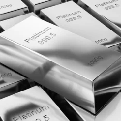 お店のコースその3