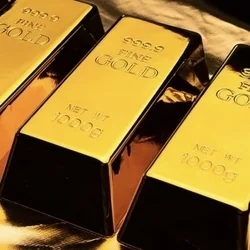 お店のコースその2