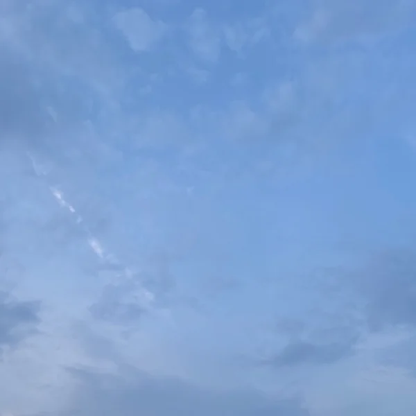リプルD様👶