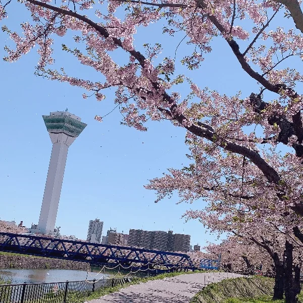 もう5月…。