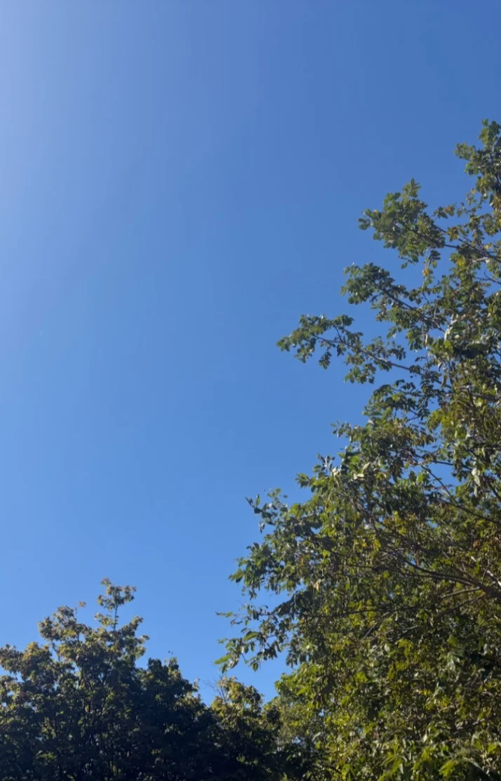 10月19日