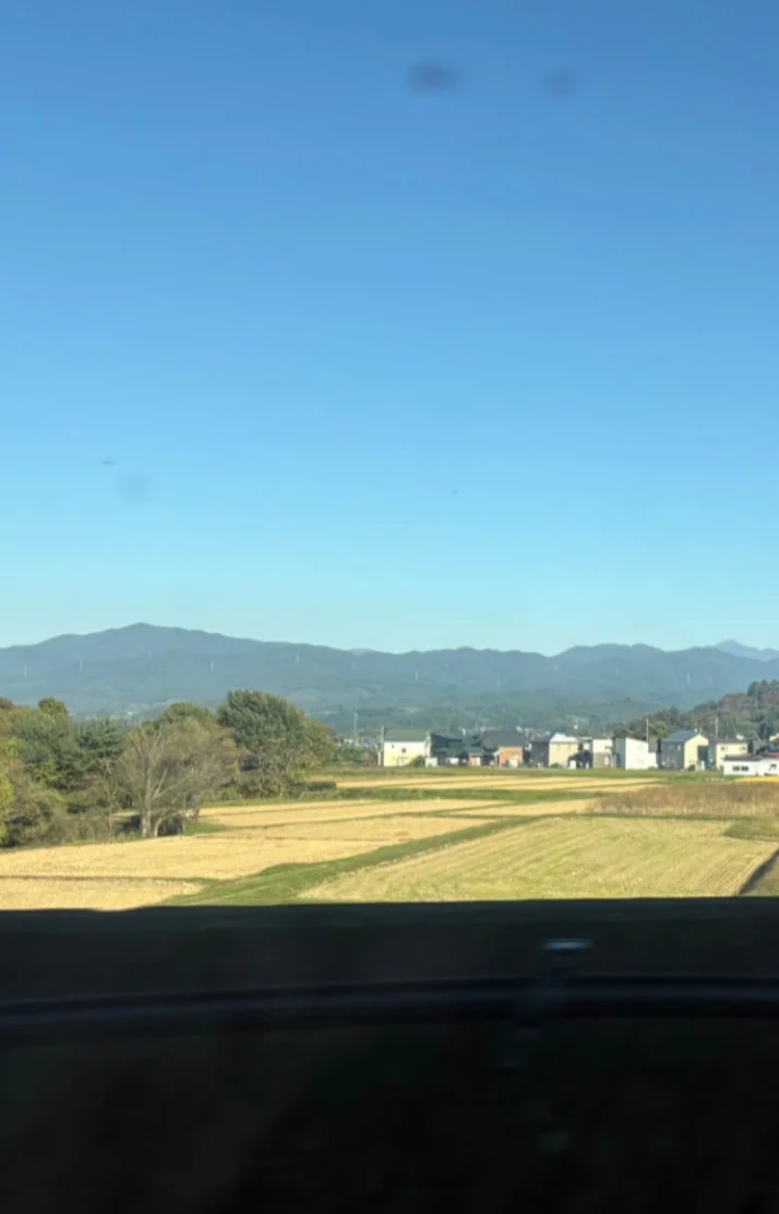 本日出勤いたします！