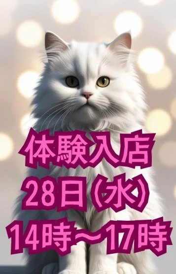 一ノ瀬志乃