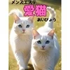 高収入 × 可愛い衣装 × 安心の環境のサムネイル