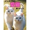 高収入 × 可愛い衣装 × 安心の環境のサムネイル