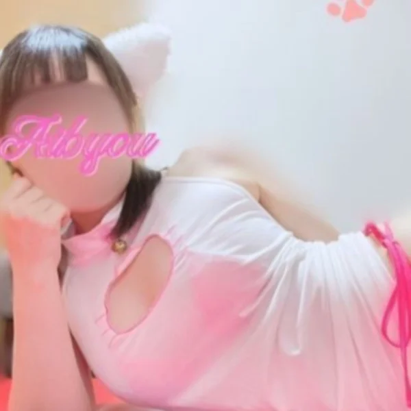 本日、出勤しています