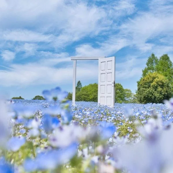 ありがとうございました♡