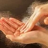 キャンディタフト