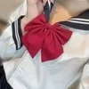 夕凪レイ