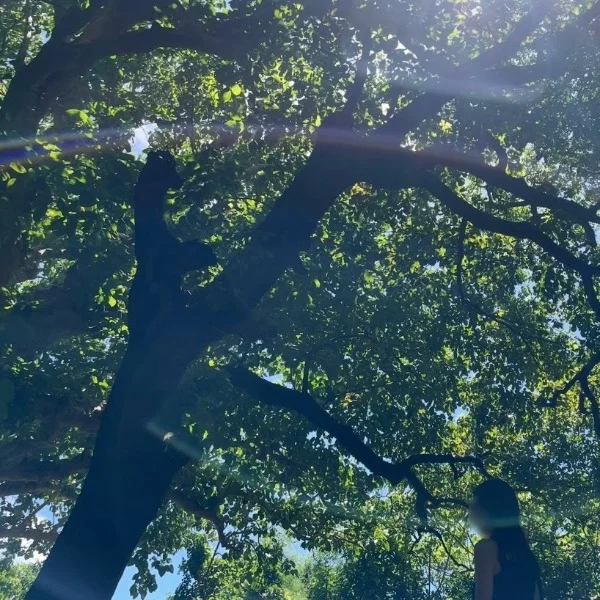 おにゅー