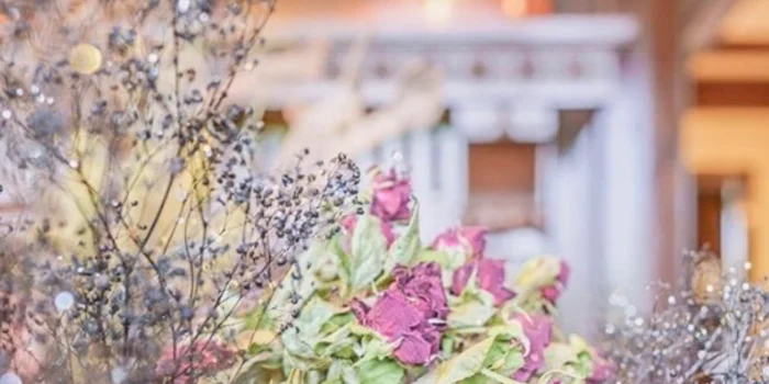 Nia&Gina（ニアアンドジーナ）