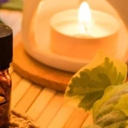 お店のコースその3