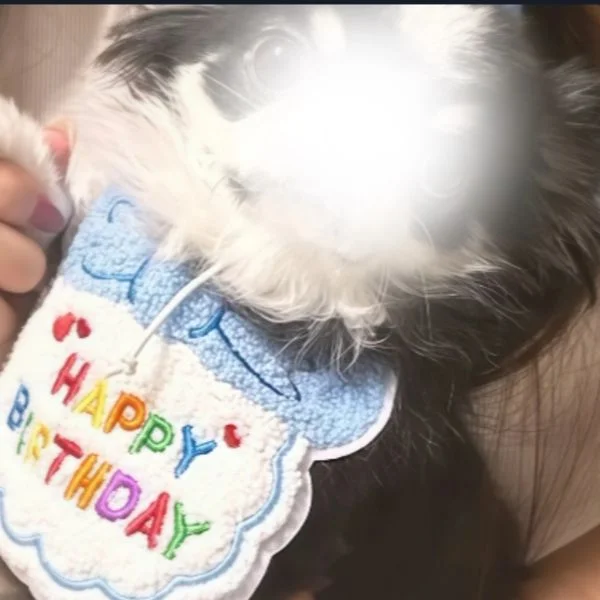 愛する我が息子🐶♡♡