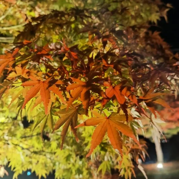 一緒に気持ちく♡