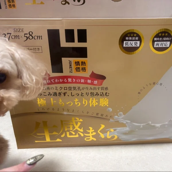 生感…///