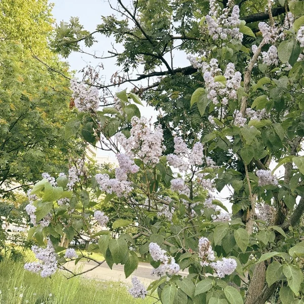 感謝💐