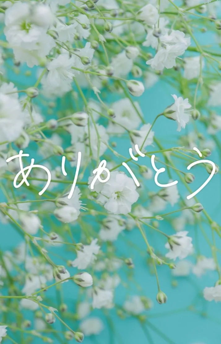 8日(木)お礼♡
