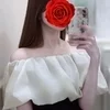 胡桃(くるみ)