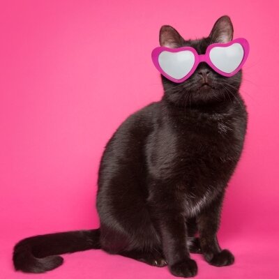 KISS MEのメッセージ用アイコン